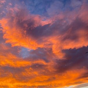 Custom bracelets send me a picture (on Poshmark, )of which one you want claybead